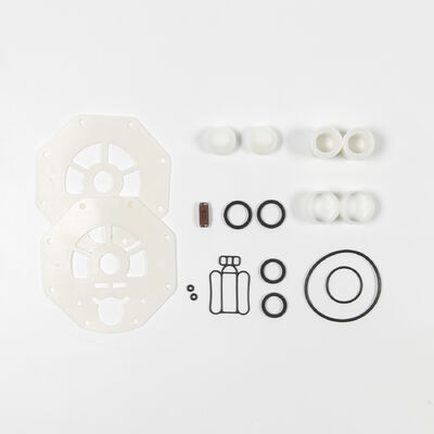 यूरिया घोल स्थानांतरण के लिए 100psi अधिकतम दबाव वाला पीपी सामग्री PTFE डायाफ्राम पंप